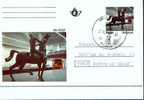 A0012 - Carte Postale - Ca - Bk 42 - Ode Aan Een Bergrivier De Rik Poot - 1000 Bruxelles - Cartes Postales Illustrées (1971-2014) [BK]