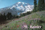 Mount Rainier National Park Washington - Andere & Zonder Classificatie