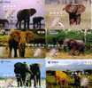 CHINE ELEPHANT SET 6 CARDS SERIE N°1 DE 6 CARTES DIFFERENTES MAGNIFIQUES - Giungla