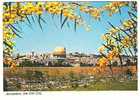 JERUSALEM ,Les Murailles De La Vieille Ville Avec Le Dome Du Rocher ;TB - Palästina