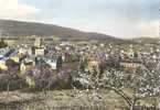 46 - LOT - SOUILLAC - PANORAMA - EGLISE ABBATIALE - BEFFROI - BELLE VUE D'ENSEMBLE - THEOJAC 309-15 Couleur - Souillac