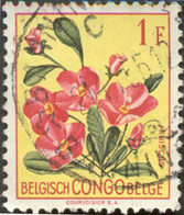 Pays : 131,1 (Congo Belge)  Yvert Et Tellier  N° :  310 (o) - Gebruikt