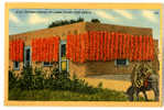 {17100} U S A New Mexico Chili Peppers Drying On Adobe House - Andere & Zonder Classificatie