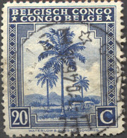 Pays : 131,1 (Congo Belge)  Yvert Et Tellier  N° :  231 (o) - Usados