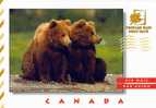 Canada : Entier Carte, Ours Noir. Superbe ! Animaux, Ours, Foret, Mammifere, Entier, Stationary - Bears