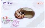 Seashells – Seemuschel - Coquilles – Sea Shells – Coquille – Muschel – Seashell – Muszle - Shell - MINT CARD No. 6 - Vissen