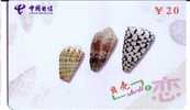 Seashells – Seemuschel - Coquilles – Sea Shells – Coquille – Muschel – Seashell – Muszle - Shell - MINT CARD No. 10 - Pesci