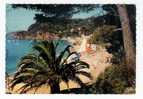 Le Rayol: Un Coin De La Plage (06-1387) - Rayol-Canadel-sur-Mer