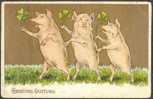 Tuck: Three Pigs With Four Leaf Clover - Cerdos