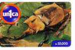 Venezuela Fauna – Faune - Bug – Wanze – Punaise – Insect - Insecte – Insects - Bugs - Insectes - MEGASOMA ELEPHAS - Autres & Non Classés