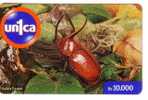 Venezuela Fauna – Faune - Bug – Wanze – Punaise – Insect - Insecte – Insects - Bugs - Insectes - GOLOFA PORTERI - Andere & Zonder Classificatie