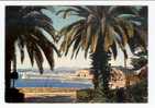 Nice: L´ Entrée Du Port (06-1458) - Transport (sea) - Harbour