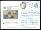 RUSSIE - 1987 - Rusiamn Museums - P.St - 3 - Travelled - Museen