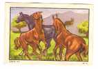 Kohler, Nestle. Serie 46 No.03 Paarden, Horses, Chevaux, Pferde. Paard, Horse, Cheval, Pferd. - Nestlé