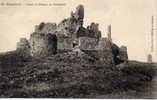 ESPALION - Ruines Du Château De Colmont - Espalion