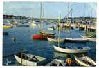 La Trinité Sur Mer. Soirée D'eté Dans Le Port - La Trinite Sur Mer