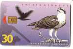 USED ESTONIA PHONECARD 1997 - ET0058 -  Ban On Hunting (Pandion Haliaëtus) Chip 3 - Estonia