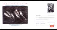 WHALE BALEINE- Hunting,entier Postal Stationery 28/2006. - Whales