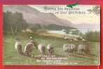 Wishing You Happiness On Your BIRTHDAY - Sheep - Farms