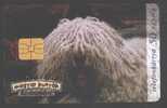 DOGS - HUNGARY - KOMONDOR - Perros