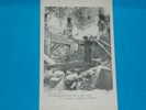 13)LAMBESC -tremblement De Terre Du 11 Juin 1909 - Amas  De Ruines- EDIT Ruat -   N° 18 -tres Tres Belle Carte - - Lambesc