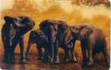 USA ELEPHANTS PRIVEE 2000 EX NEUVE MINT  RARE - Giungla