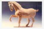 Chine: Xian, Shaanxi, White Pottery Horse, Cheval (06-2032) - China