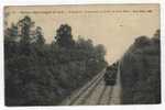 34  -  BOISSY-SAINT-LEGER  --  Passage Du Train Dans La Forêt De Gros-Bois - Boissy Saint Leger