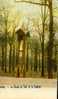BRUXELLES "La Cloche Au Bois De La Cambre" - Forests, Parks