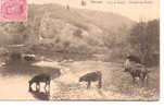 CPA - BARVAUX - PONT DE GLAWAN - ENVIRONS DES GROTTES - ANIMEE - VACHES - Durbuy