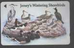 JERSEY - JER-143 - BIRDS - Jersey En Guernsey