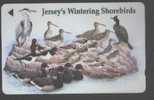 JERSEY - JER-143 - BIRDS - [ 7] Jersey Y Guernsey