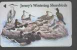 JERSEY - JER-143 - BIRDS - [ 7] Jersey And Guernsey