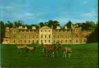 WOBURN ABBEY - Altri & Non Classificati