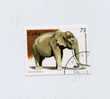 Cuba N°3501 Oblitéré éléphant - Elefanten