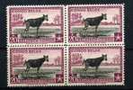 Congo  Belge 1942   OKAPI **   Bloc De 4 Du  20F ++ Postfrich - Giraffen