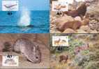 Série De Cartes Maximum Sur Des Animaux Dont Baleine Et Phoque, WWF - Whales