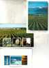 3 X Australian - New Zealand Vineyard Cards - 3 Carte Sur Le Vin - Vigne - Other & Unclassified