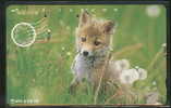 Télécard Japon RENARD Phonecard Japan FOX - Jungle