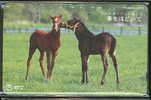 Télécard Japon CHEVAL Phonecard Japan HORSE - Horses