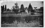 04 - FORCALQUIER - Le Cimetière - Semi Moderne Petit Format - Forcalquier