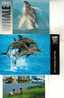 3 X Dolphins - Whales Postcards - 3 Carte Postale De Dauphins - Balaine - Pesci E Crostacei