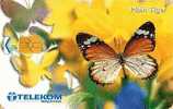 Malaysia - Butterfly - Plain Tiger - Andere & Zonder Classificatie