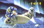 Animal Picture Poster - The Ball Match On The Snow - Seals - Altri & Non Classificati