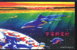 Animal Picture Poster - The Universe´s Change - Dolphins And Whales - Delfines