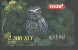 OWL - SLOVENIA - Gufi E Civette