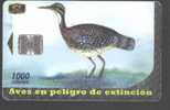 BIRDS - COSTA RICA - GARZA SOL - Autres & Non Classés