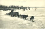 ARCTIQUE - ANTARCTIQUE - EXPEDITION POLAIRE - ATTELAGE De CHIENS - TRANSPORT De BOIS En SIBERIE - Missionen