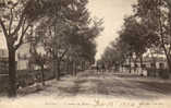 38 / BATNA / L AVENUE DE BISKRA / DOS NON DIVISE 1904 - Batna