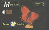 BUTTERFLY - SPAIN - MANTO DE ORO - Papillons